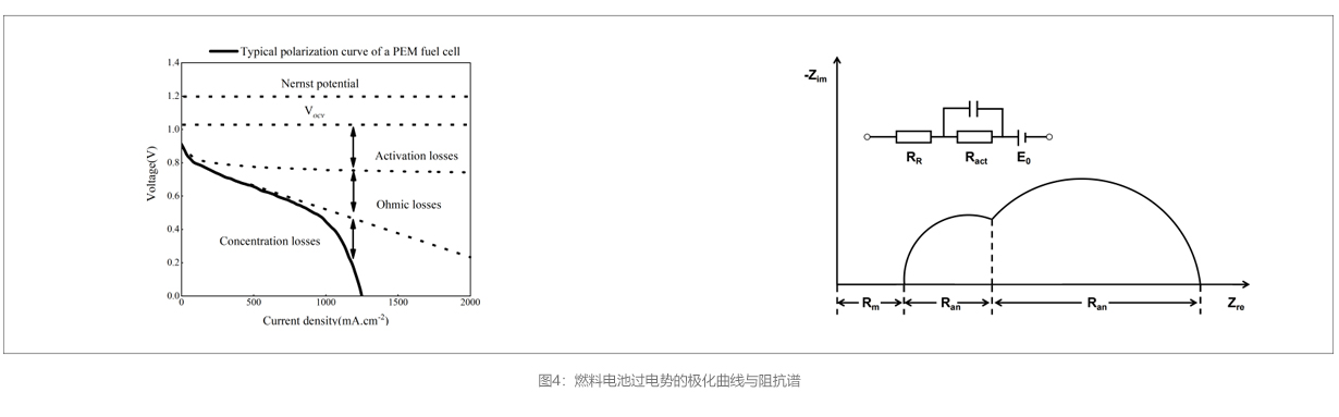 官网详情图模板图四.jpg